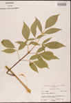 000003091-thumbnail.jpg