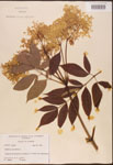 000003094-thumbnail.jpg