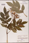 000003095-thumbnail.jpg