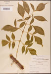 000003099-thumbnail.jpg