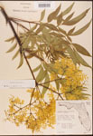 000003100-thumbnail.jpg