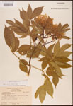 000003102-thumbnail.jpg