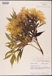 000003103-thumbnail.jpg
