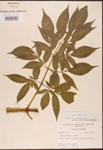 000003105-thumbnail.jpg