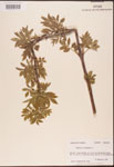 000003107-thumbnail.jpg