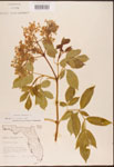 000003108-thumbnail.jpg