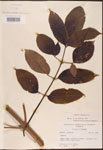 000003110-thumbnail.jpg