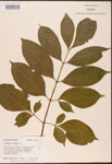 000003117-thumbnail.jpg