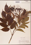 000003122-thumbnail.jpg