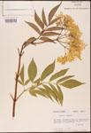 000003123-thumbnail.jpg