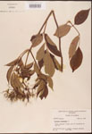 000003128-thumbnail.jpg