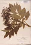 000003130-thumbnail.jpg