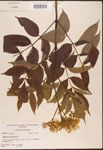000003131-thumbnail.jpg