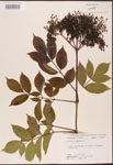 000003134-thumbnail.jpg