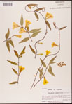 000003137-thumbnail.jpg