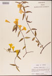 000003138-thumbnail.jpg
