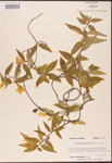 000003139-thumbnail.jpg