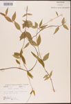 000003140-thumbnail.jpg