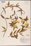 000003141-thumbnail.jpg