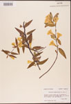 000003142-thumbnail.jpg