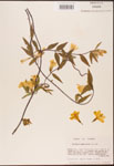 000003143-thumbnail.jpg