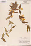 000003144-thumbnail.jpg