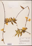 000003145-thumbnail.jpg