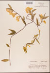 000003146-thumbnail.jpg