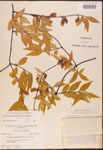 000003148-thumbnail.jpg