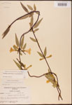 000003149-thumbnail.jpg