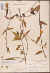 000003156-thumbnail.jpg