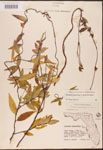 000003157-thumbnail.jpg