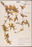 000003159-thumbnail.jpg