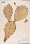 000003161-thumbnail.jpg