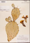 000003162-thumbnail.jpg