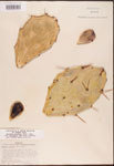 000003163-thumbnail.jpg