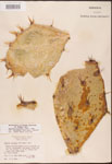 000003164-thumbnail.jpg
