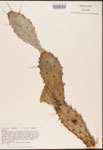 000003165-thumbnail.jpg