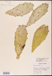 000003166-thumbnail.jpg