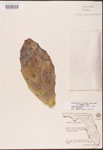 000003167-thumbnail.jpg