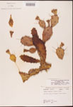 000003168-thumbnail.jpg