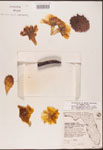 000003169-thumbnail.jpg