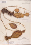 000003170-thumbnail.jpg