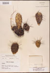 000003171-thumbnail.jpg