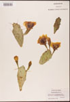 000003173-thumbnail.jpg