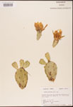 000003174-thumbnail.jpg