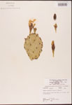 000003175-thumbnail.jpg