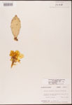 000003176-thumbnail.jpg
