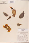 000003177-thumbnail.jpg