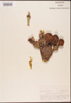 000003178-thumbnail.jpg